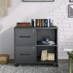 2 Drawers Lateral Filing Cabinet Lockable Steel Storage Open 2 Storage Shelves