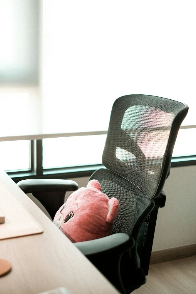 Lumbar Cushion